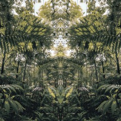 Olibrius - La jungle au core