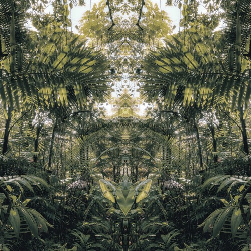 Olibrius - La jungle au core