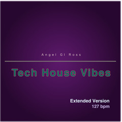 Tech House Vibes (Extended Version)