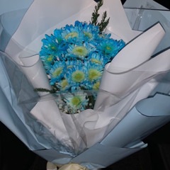 chihewchte sonsdog duu