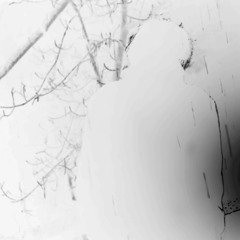 sv moscow (demo version)