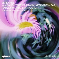 Serenade with Daughters of Frank, KeepVibesNear, Harvey Whyte & Introspekt - 19 February 2023