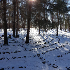 Routes & Branches & Beyond show # 391 2025 12 11