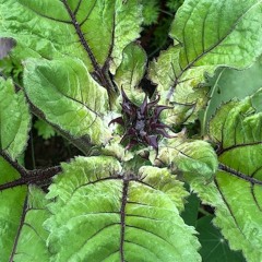 "Let Heartbreak Be Your Dance Partner" Oct 29 2023