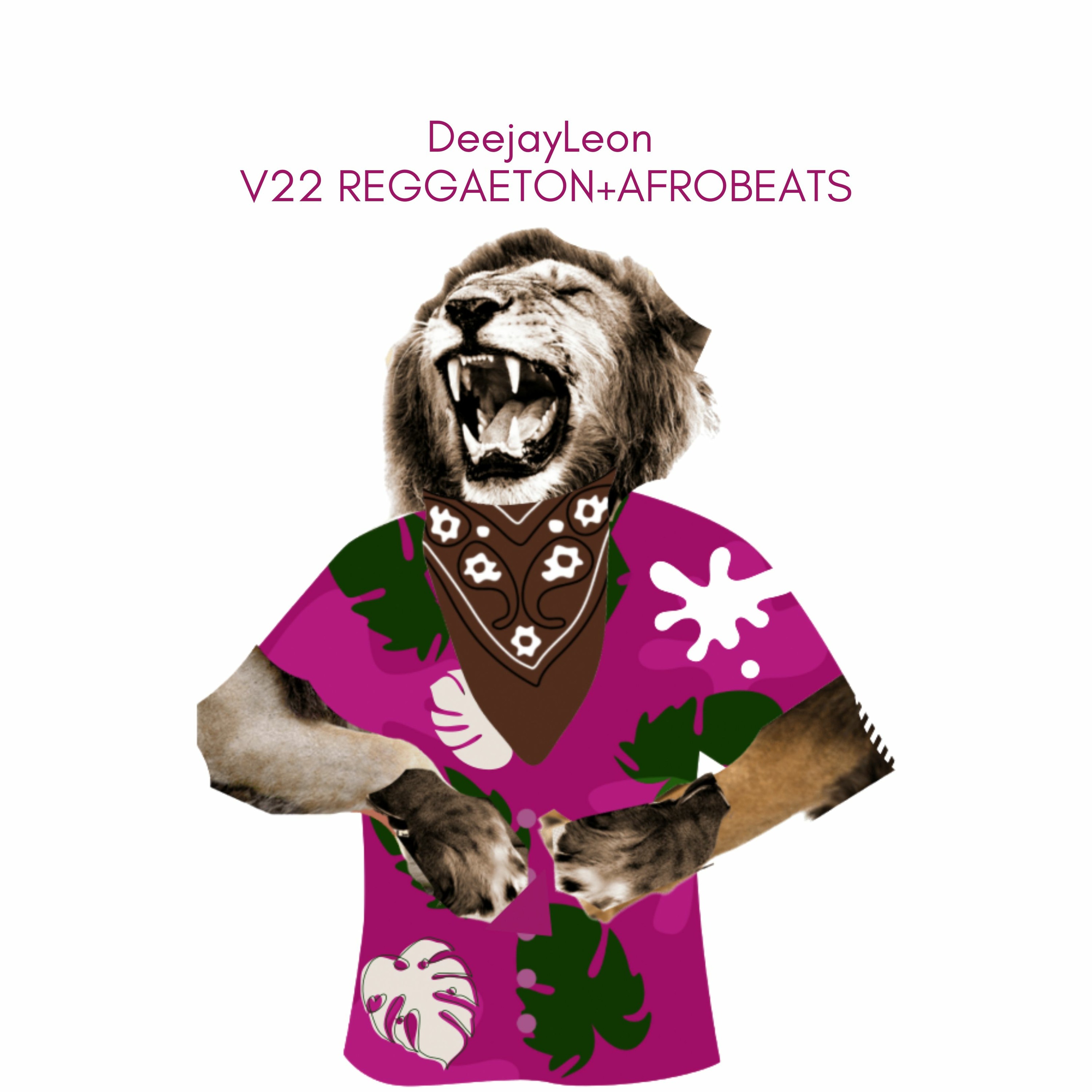 V22 Mixtape PT1 REGGAETON To TOP40 episode artwork