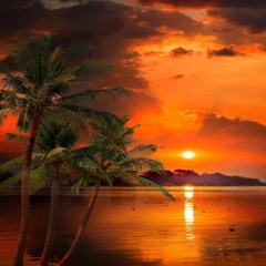 The Sunset