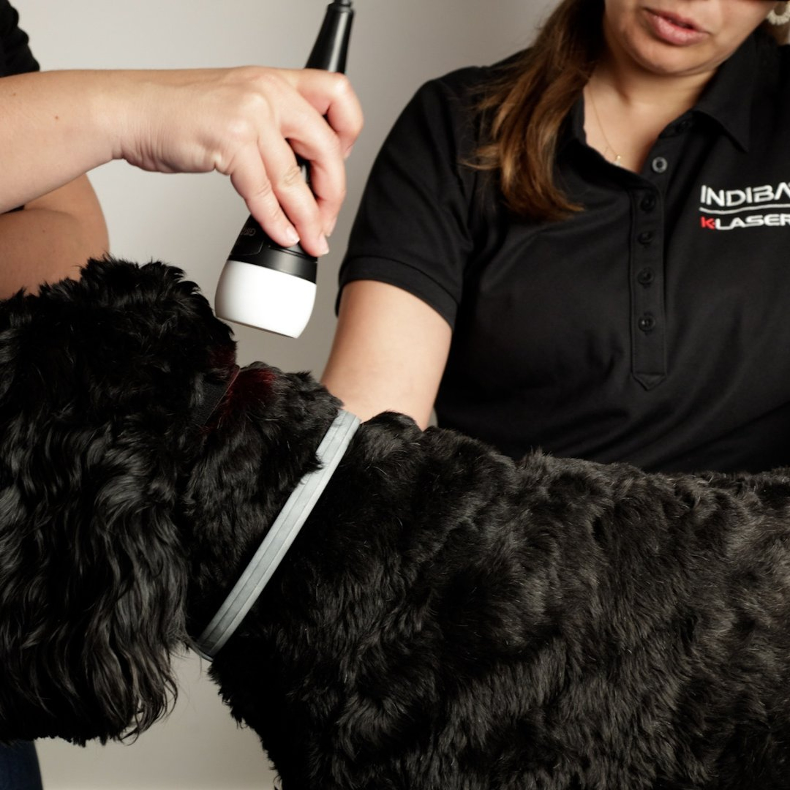 The Untapped Potential of Laser Therapy in Veterinary Medicine episode artwork