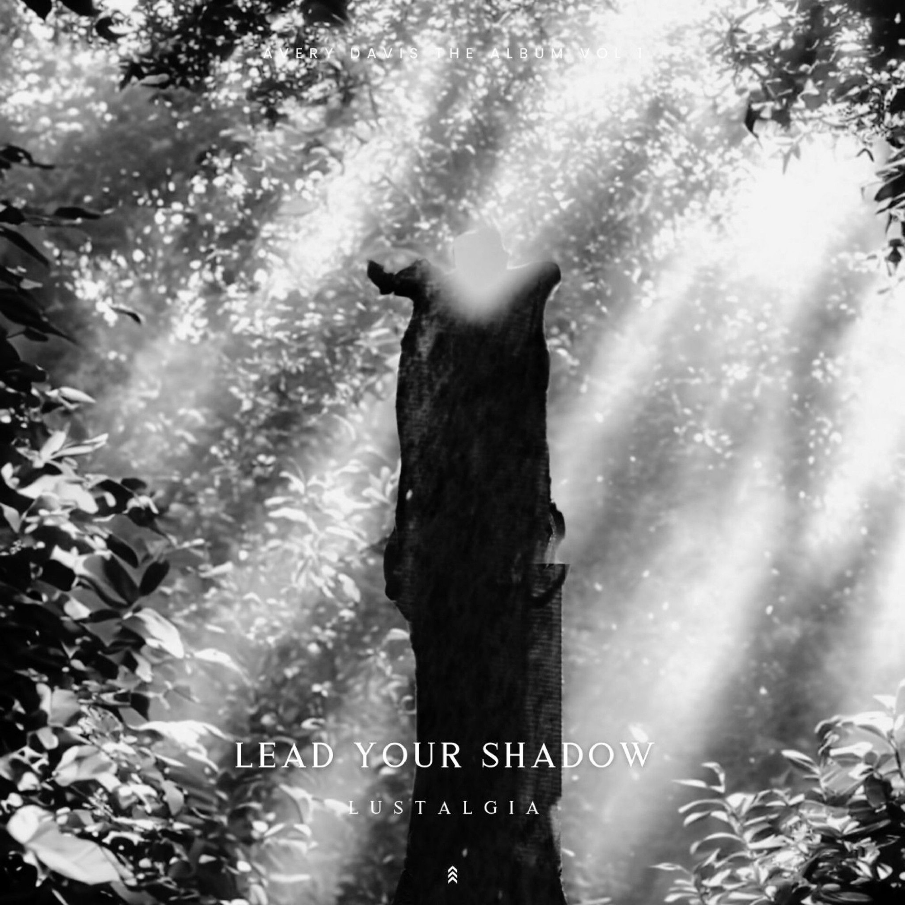 Lead Your Shadow episode artwork