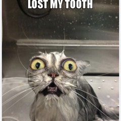 my tooth?