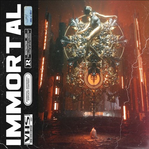 IMMORTAL (w/ Qi x Rab beats)