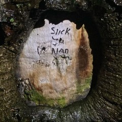 I CANT LOSE YOU [0x2F2 LOST ME BOOTLEG]