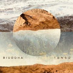 Biuddha - Tenso [AR015] preview