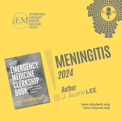 Meningitis (2024)