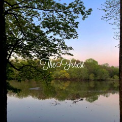 The Forest