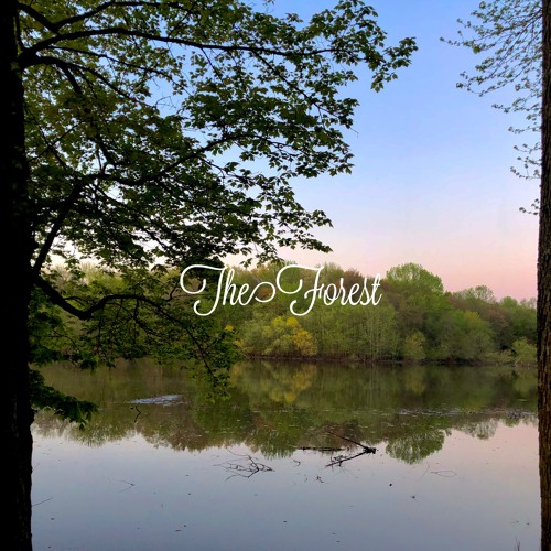 The Forest