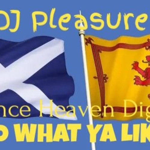 Dj Pleasure - Do Whar Ya Like.mp3