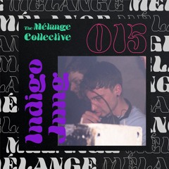 The Mélange Collective #15 - Indigo Jung