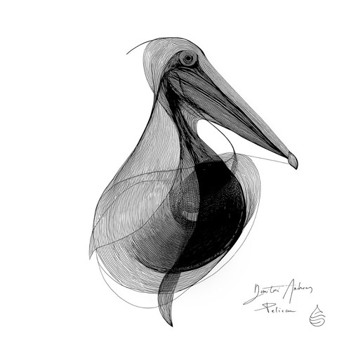 Premiere: Dimitri Andreas - Pelican (Extrawelt Remix) [Move Recordings]