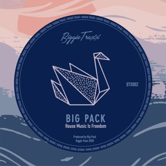 BTX002 Big Pack - House Music Is Freedom [Biggie Traxx]