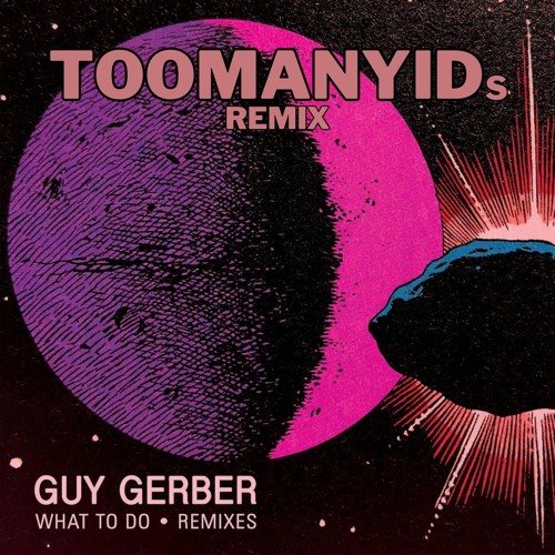 [FREE DOWNLOAD] Guy Gerber - What To Do (Too Many IDs Remix)