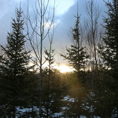 Real Or Imaginary? - Soryu Forall