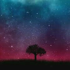 Dixita Karki Timi Ra MA lofi Nepali Lofi