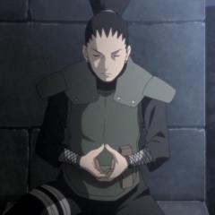 patience - day2day x cree