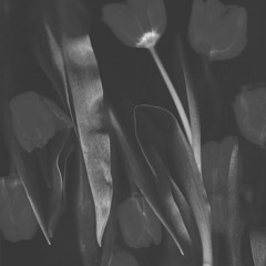 MOO$ - TECHNO MIX.WAV