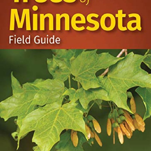 Stream episode PDF/BOOK Trees of Minnesota Field Guide (Tree