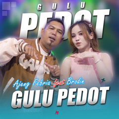 Gulu Pedot (feat. Brodin)