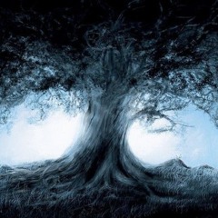 Haiena303 - The Forest Is Calling Us (Final_Master)
