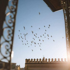 قَالَ إِنَّمَا أَشْكُو بَثِّي وَحُزْنِي إِلَى اللَّهِ | إسلام صبحي