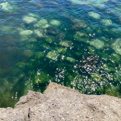 Dive
