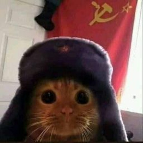 НАХУЙ ФРАНЦИЮ И ДАНИЯ