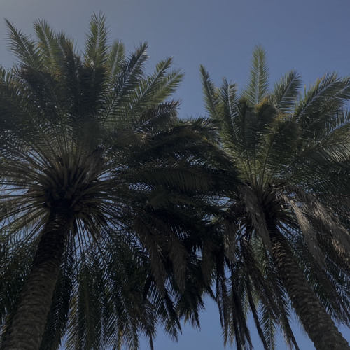 مزج - گلبي قصيدة حسينية.