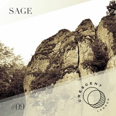 • Crescent Textures #09 • Sage