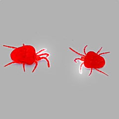 Bug Bites (prod. scorched)