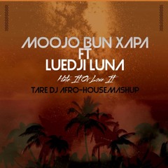 Moojo Bun Xapa ft Luedji Luna - Hate It Or Love It ( TARE DJ Afro-HouseMashup )