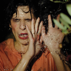 Postcards - Dust Bunnies