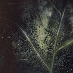 TRIDAK & SIDETRKT - Fusion (Original Mix) SVMSTR 1.0 16441