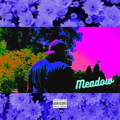 Meadow(Prod.ByPink)