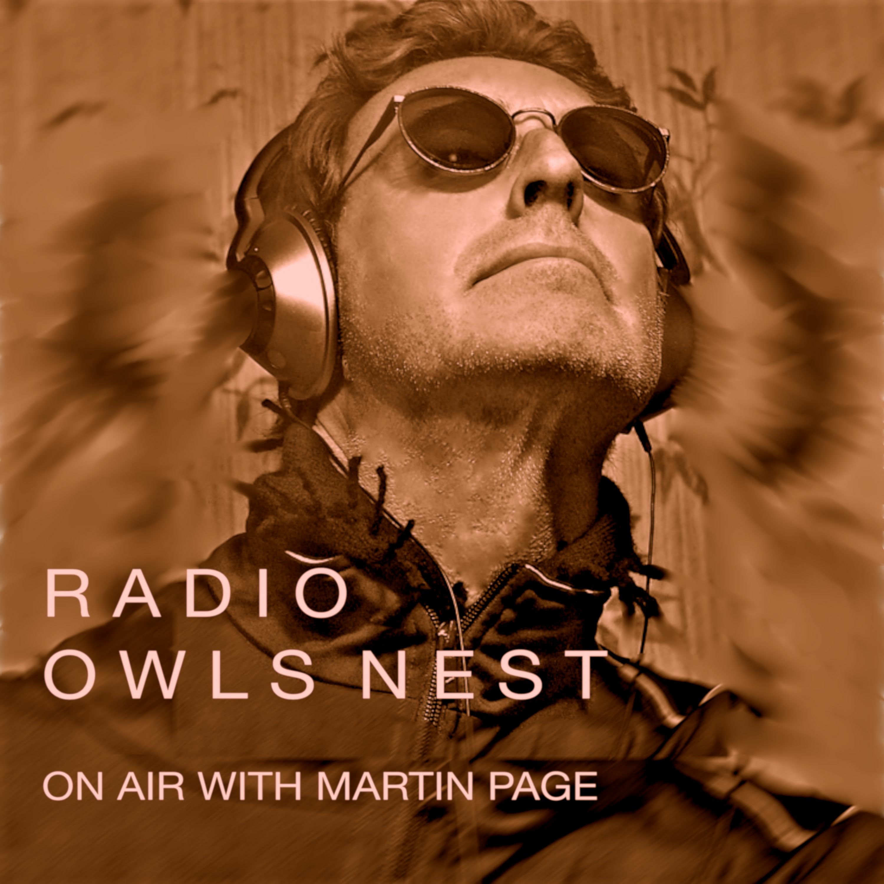 Radio OwlsNest