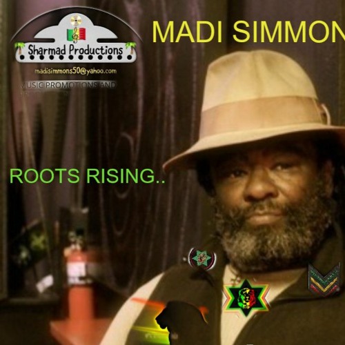 FOOL MI ONCE/RIDDIM BY LION RIDDIMS