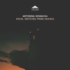 TR158 - Antonina Nowacka - 'KOGUT 2'