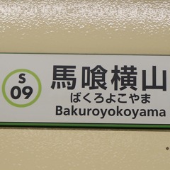 バグロヨコヤマ