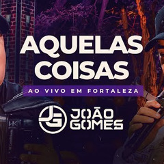 AQUELAS COISAS - João Gomes e Tarcísio do Acordeon (DVD Ao Vivo em Fortaleza)
