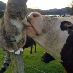 spoon sex(w/ craiggussi)(prod.craiggussi)