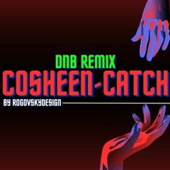 Kosheen -Catch (Rogovskydesign D&B Remix)