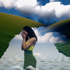 Hold Farsante / Ozuna Taquwami & Ruddyp (topolito forest blend)