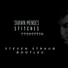 Shawn Mendes - Stitches (Steven Straub Bootleg) FREE DOWNLOAD